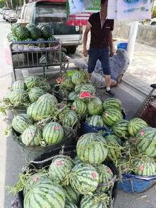 金乡吃瓜网红事件,揭秘网络舆论的风暴与真相