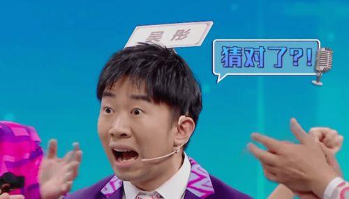 娱乐吃瓜猫杨迪,娱乐吃瓜猫的趣味人生