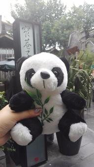 娱乐吃瓜大熊猫微博,揭秘大熊猫微博背后的趣味故事